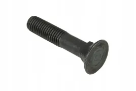 m12-60-sruba-pluzna-z-nakretka-m12-x-60