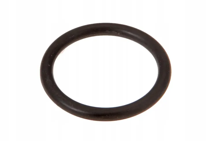 0829302092005-oring