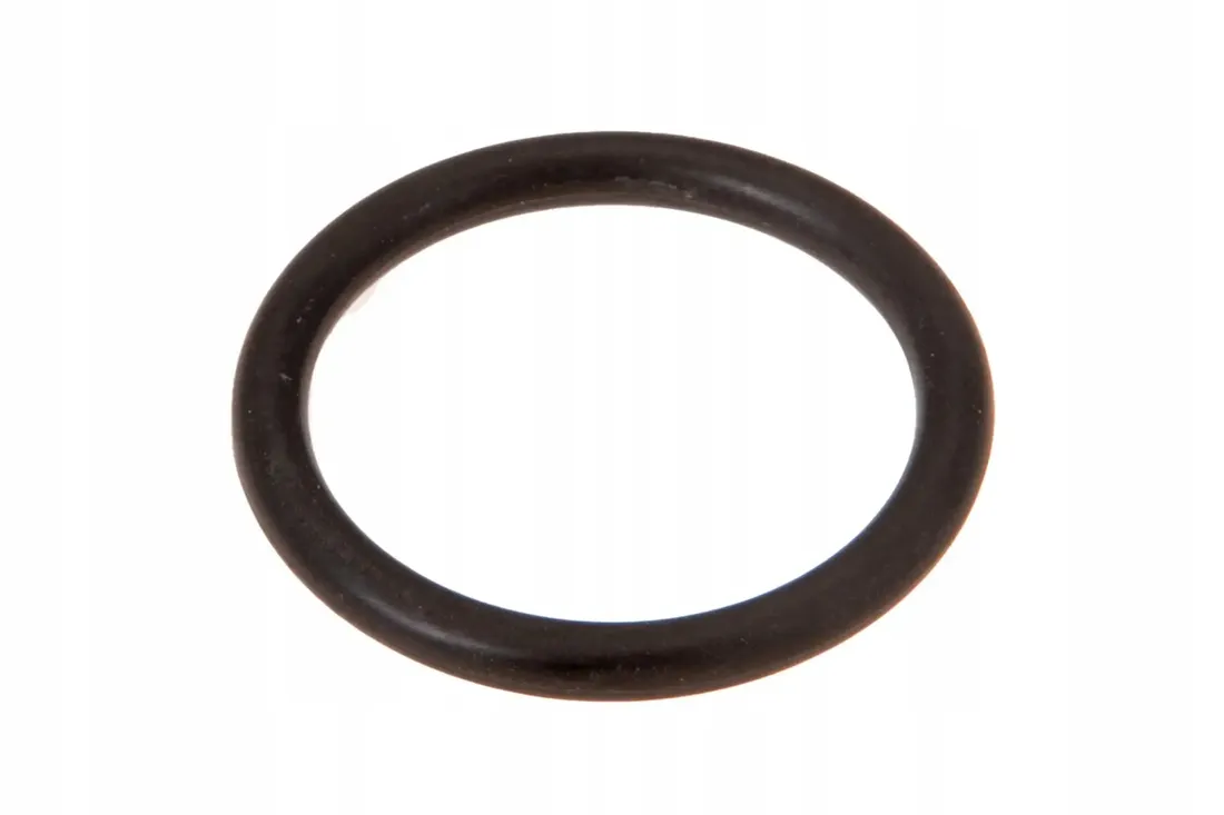 0829302092005-oring