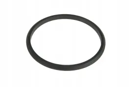 ch220-8678-uszczelka-filtra-z-separatorem-wody