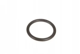 1850234m1-pierscien-oring-kolumny-kierownicy