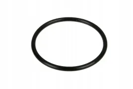 70923570-pierscien-oring-3934-x-262