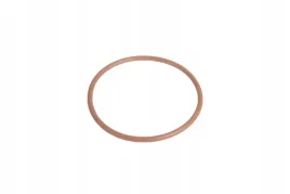 f926202710690-pierscien-oring