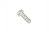 391934x1-sruba-m-12-x-35-marka-massey-ferguson
