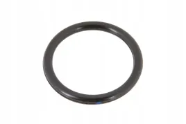 ct6005025979-pierscien-oring-glowicy-filtra