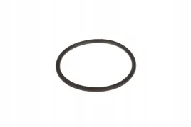x590980100000-pierscien-oring-27-x-178