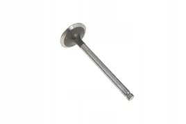 4222149m91-zawor-wlotowy