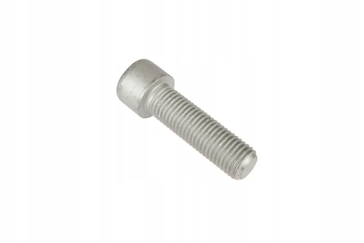 x485029600000-sruba-m16x55-marka-fendt
