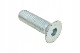 0469120-sruba-imbusowa-m20-x-70