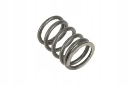 4241499m1-sprezyna-zaworowa