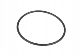 v614707230-oring-pompy-wtryskowej