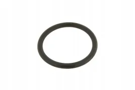 vkh4961-oring-silownika-tylnego-tuz