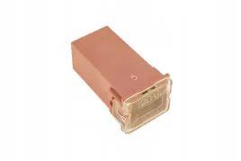 71421704-bezpiecznik-specjalny-30a