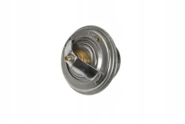 f824200050060-termostat
