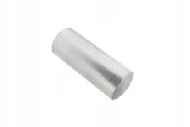 243245-0-kolek-walcowy-ustalajacy-m10-x-24-mm