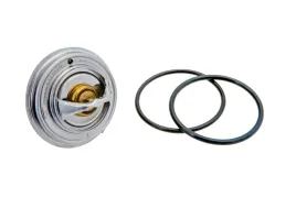 0052032775-termostat-79-silnika