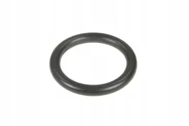 v614602950-oring-pompy-wody