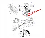 v614602950-oring-pompy-wody-stan-nowy