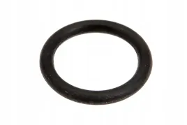 321919-0-pierscien-oring-111-x-178-mm