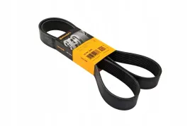 10pkx1605lp-pasek-wielorowkowy-10pk-x-1605-mm