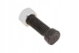 vi1105-sruba-z-lbem-1-stronnie-scietym-z-nakretka