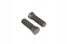 m12x1-25x40-sruba-z-lbem-2-stronnie-scietym-m12-x