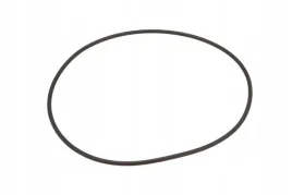 or12667262vp001-pierscien-oring-12667-x-262-mm