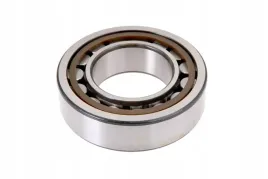 x620411800003-lozysko-walcowe-1-rzedowe-45-x-85-x