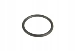 1000177776-pierscien-oring-1877-x-178