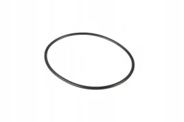 3382253m1-pierscien-oring-98-x-353-mm