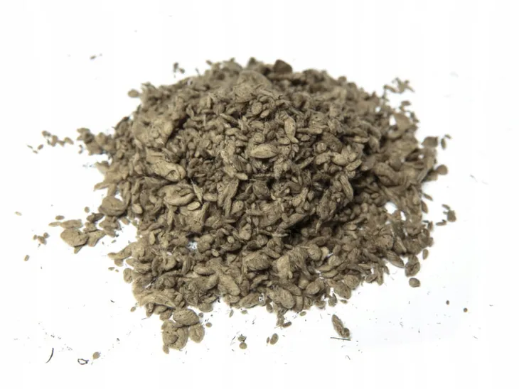 gogs10-sorbent-opakowanie-10kg-kod-producenta-gogs10