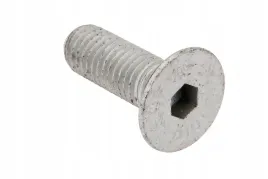 214351-0-sruba-imbusowa-m10-x-30-mm