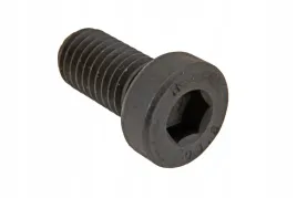 244820-0-sruba-imbusowa-m10-x-20