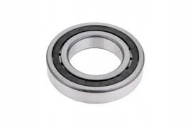 x620308300001-lozysko-walcowe-1-rzedowe-60-x-110-x-22