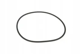 v614609930-pierscien-oring-pompy-wtryskowej