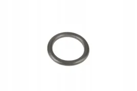 7700026373-pierscien-oring