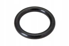 831461m1-pierscien-oring-wkladu-filtra-paliwa
