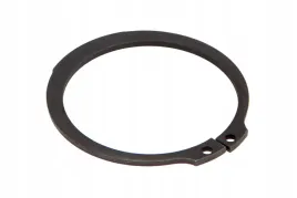 pis06010003-pierscien-segera-50-x-2-mm