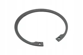 pis06020003-pierscien-segera-wewnetrzny