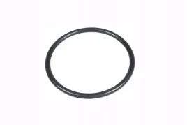 f291200610120-pierscien-oring-termostatu-agco