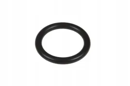 f716201610010-pierscien-oring-pompy-wody