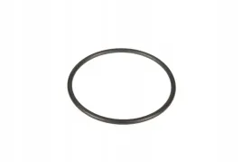 1441885x1-pierscien-oring-69-x-35-agco