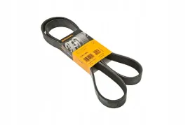 8pkx1600-pasek-wielorowkowy-8pk-x-1600-lp