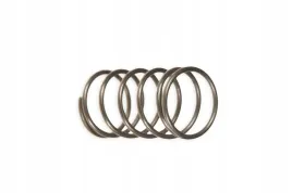 10150050-sprezyna-sciskana-walka