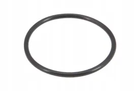 vkh4932-pierscien-oring-495-x-3-mm