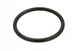 110101-pierscien-oring-zaworu-pompy-3969-x-320-mm