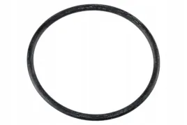 g10073-pierscien-uszczelniajacy-o-ring-58-74x3-53-epdm