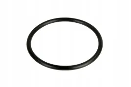 001053758-pierscien-oring