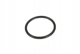 99-oring-sekcji-pompy-wtryskowej-44-x-3-30-mm