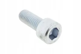 101093848-sruba-imbusowa-leb-walcowy-m10-x-25